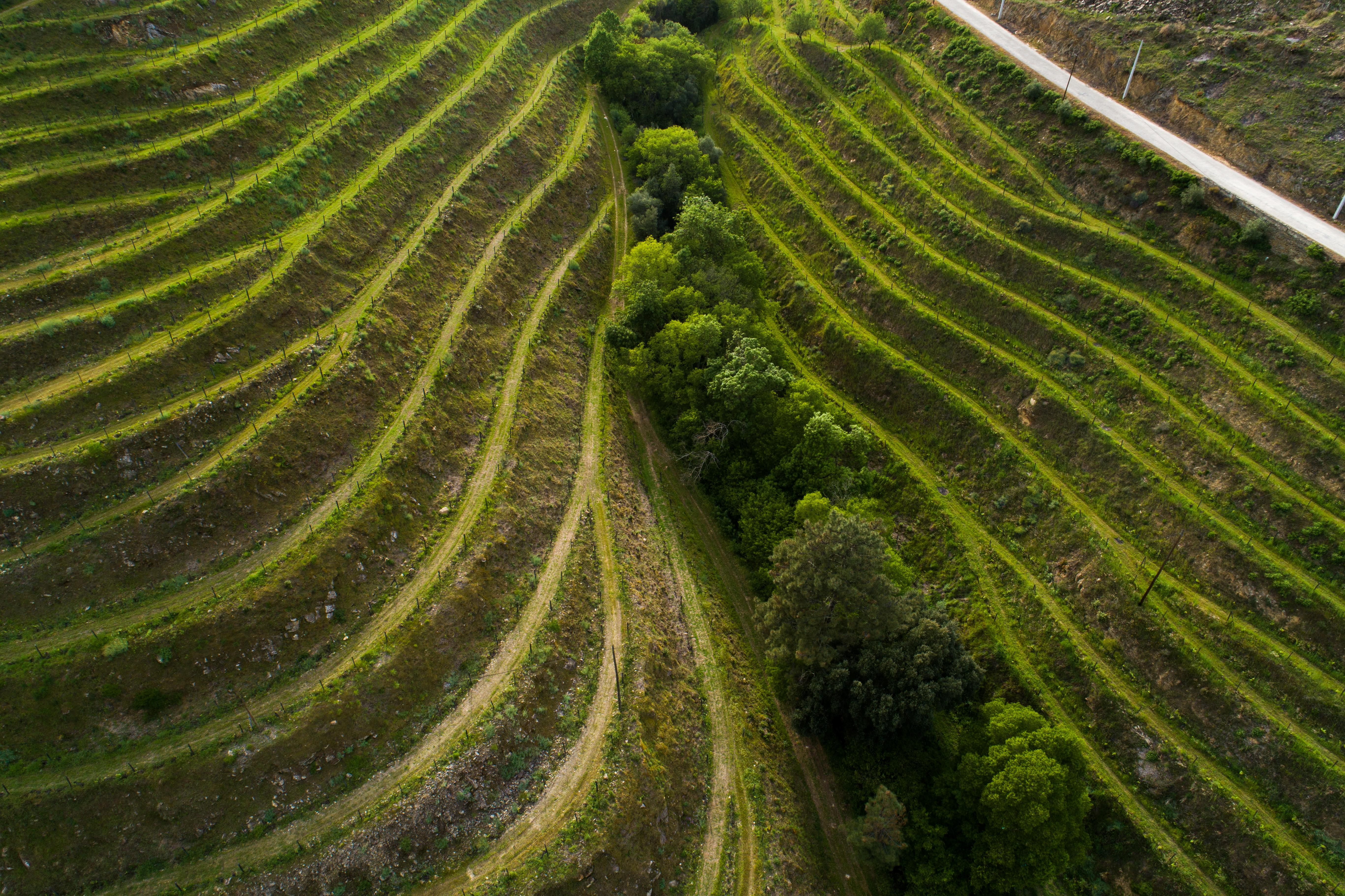 Vila Gale Douro Vineyards Armamar Exterior foto